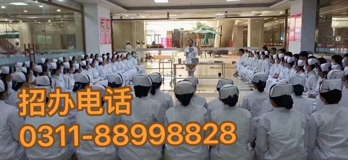石家莊天使護(hù)士學(xué)校2025年春季護(hù)理專(zhuān)業(yè)學(xué)費(fèi)
