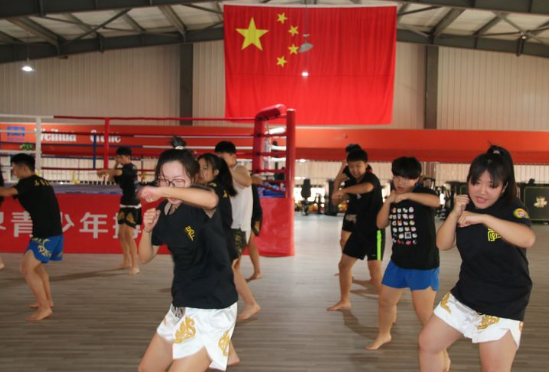 石家莊開設(shè)體育專業(yè)、武術(shù)專業(yè)的學(xué)校